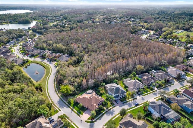 15001 WIND WHISPER DRIVE, Odessa, FL 33556