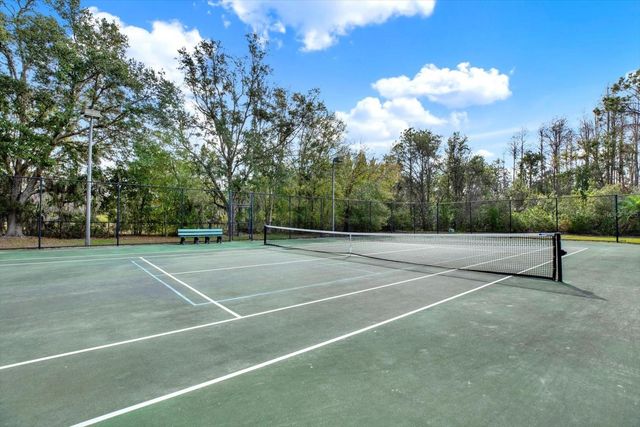 15001 WIND WHISPER DRIVE, Odessa, FL 33556