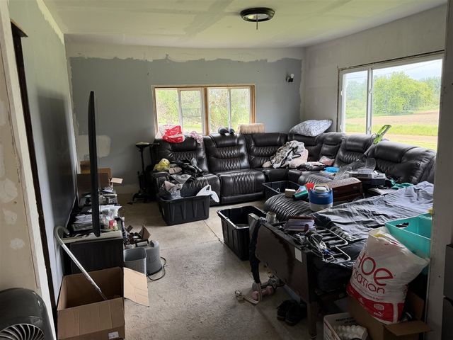 19525 W Pierson Road, Pierson, MI 49339