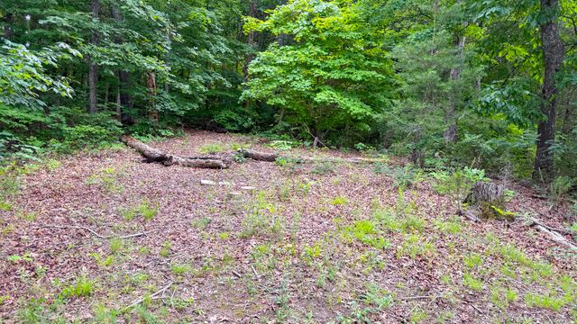 554 Colson Drive, Bronston, KY 42518