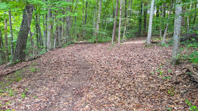 554 Colson Drive, Bronston, KY 42518