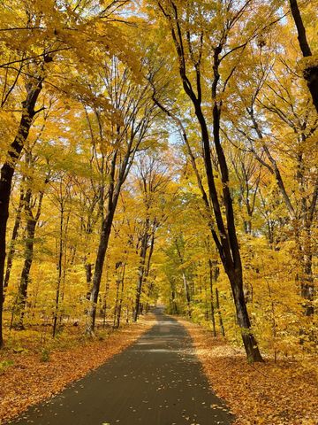 1875 Troy Lane N, Plymouth, MN 55447