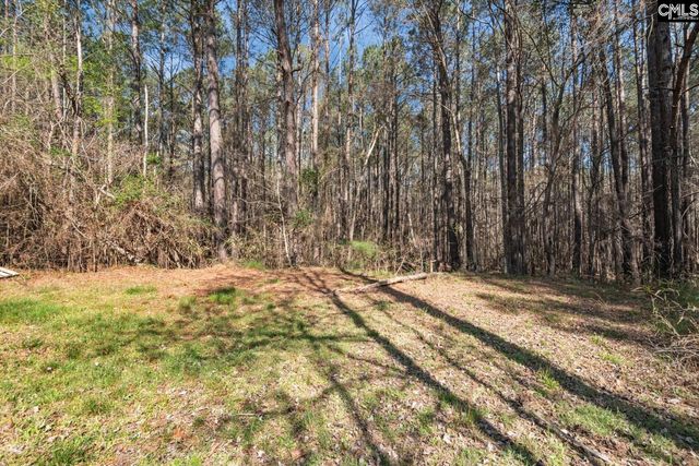 179 Smith Young Road, Blythewood, SC 29016