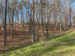 Lot# 208 Pinnacle Drive, Ellijay, GA 30540