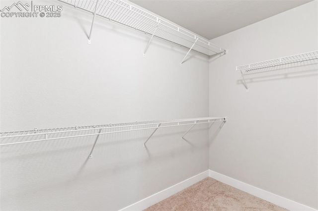 1648 Grand Overlook Street, Colorado Springs, CO 80910