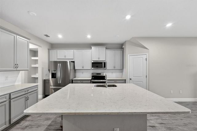 6050 GRAND SONATA AVENUE, Lutz, FL 33558