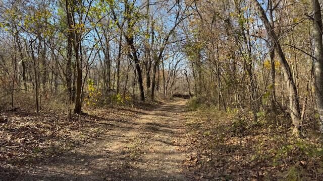 67041 E 166 Road, Wyandotte, OK 74370