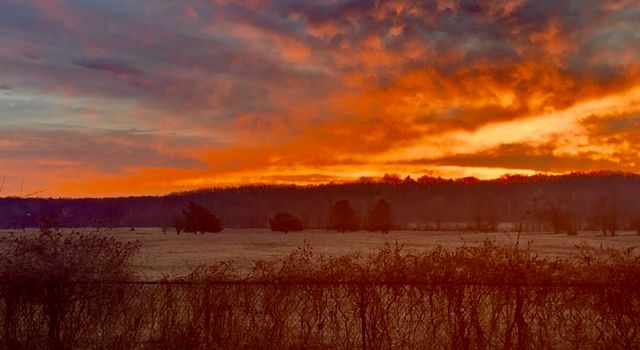 3963 E El Dorado Street, Springfield, MO 65809