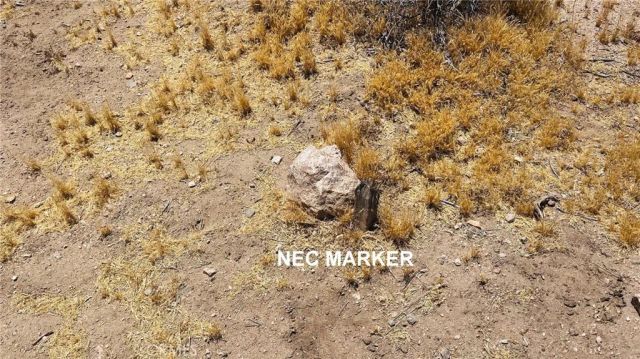 4491114 Highway 18, Lucerne Valley, CA 92356