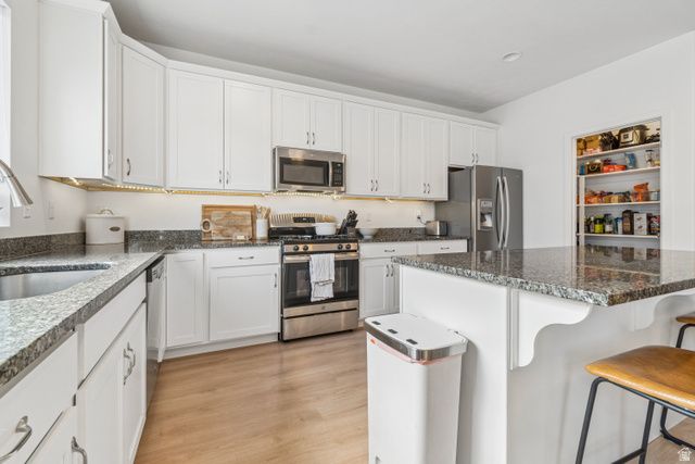15203 S TACK WAY, Bluffdale, UT 84065