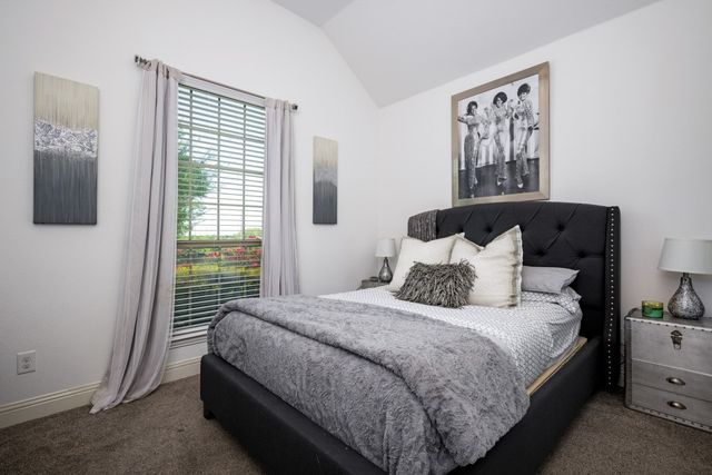 863 Forest Street, Little Elm, TX 76227