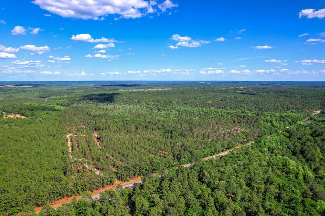80 Acres Columbia Highway N, Ridge Spring, SC 29129