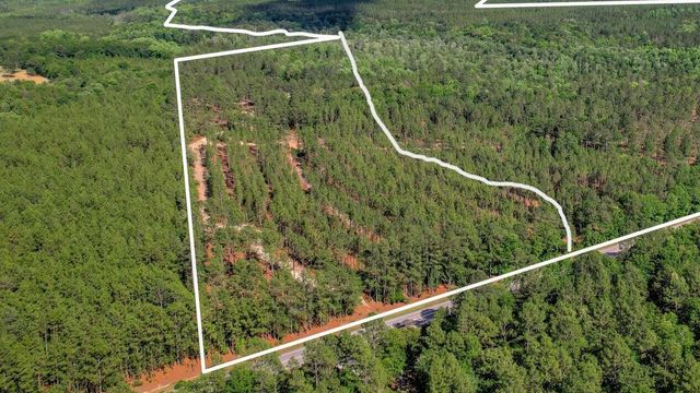80 Acres Columbia Highway N, Ridge Spring, SC 29129