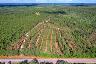 80 Acres Columbia Highway N, Ridge Spring, SC 29129