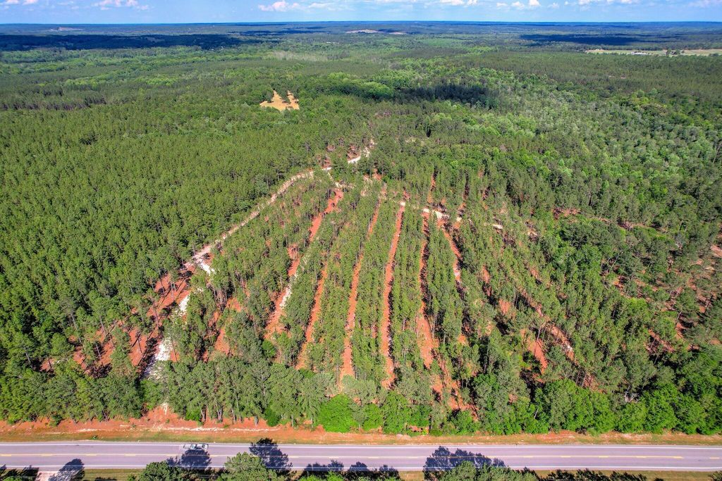 80 Acres Columbia Highway N, Ridge Spring, SC 29129