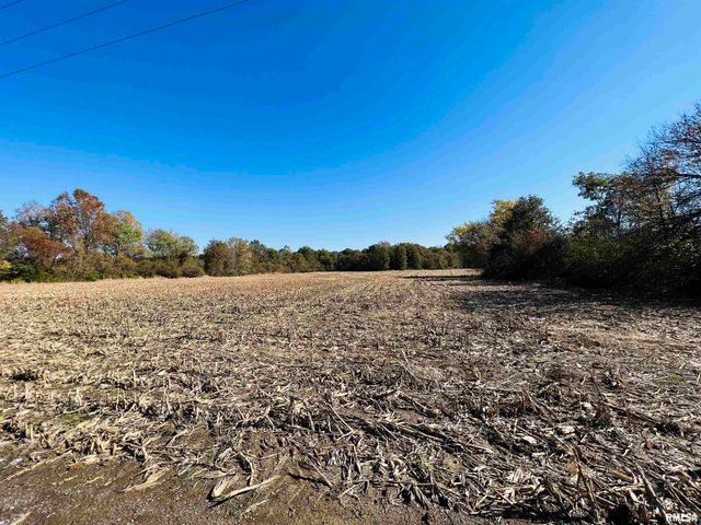 17064 Old Frankfort Road, Johnston City, IL 62951