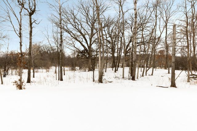 10393 Pheasant Ridge Road, Victoria, MN 55318