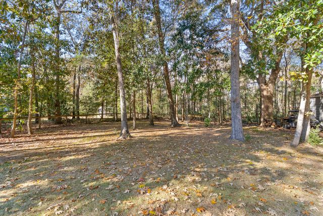 3026 Olivia Marie Lane, Johns Island, SC 29455