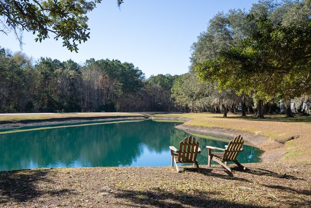 3026 Olivia Marie Lane, Johns Island, SC 29455