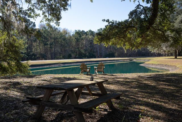 3026 Olivia Marie Lane, Johns Island, SC 29455