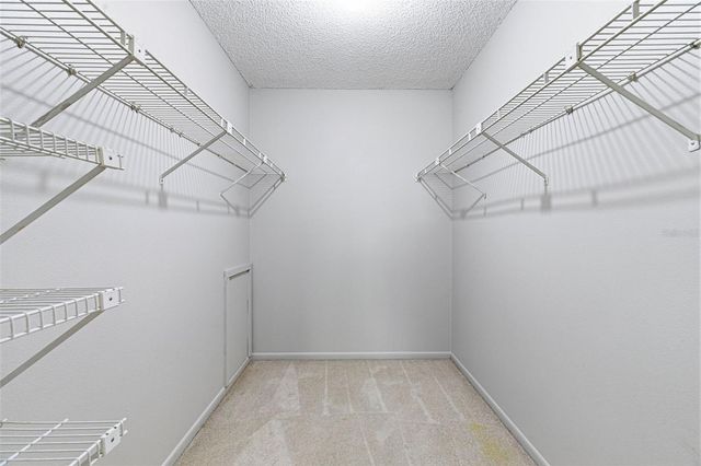 15925 CRYING WIND DRIVE, Tampa, FL 33624