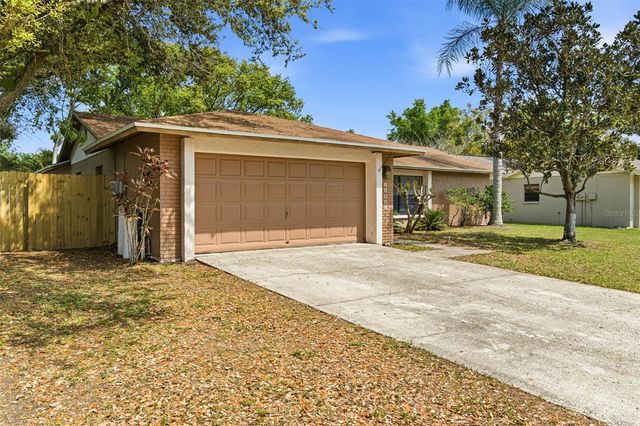 15925 CRYING WIND DRIVE, Tampa, FL 33624