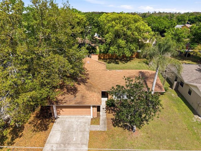 15925 CRYING WIND DRIVE, Tampa, FL 33624