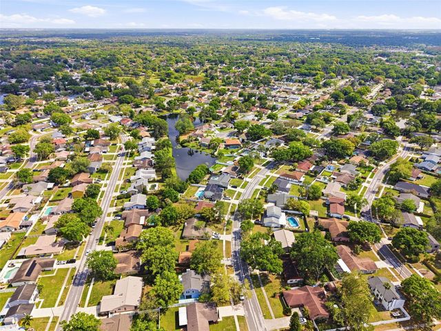 15925 CRYING WIND DRIVE, Tampa, FL 33624