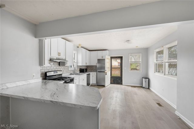21 Urban Street, Painesville, OH 44077