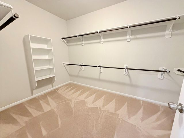 21011 Pastel Sky Way, Humble, TX 77338
