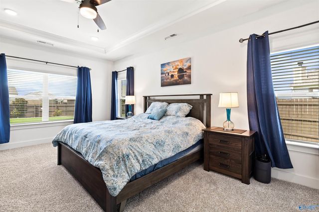 106 Lottie Belle Court, Madison, AL 35756