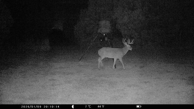 5636 Fm 56, Clifton, TX 76634