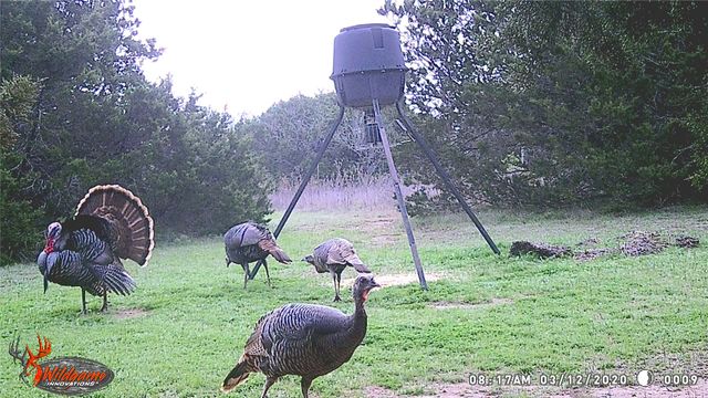5636 Fm 56, Clifton, TX 76634