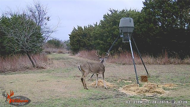 5636 Fm 56, Clifton, TX 76634