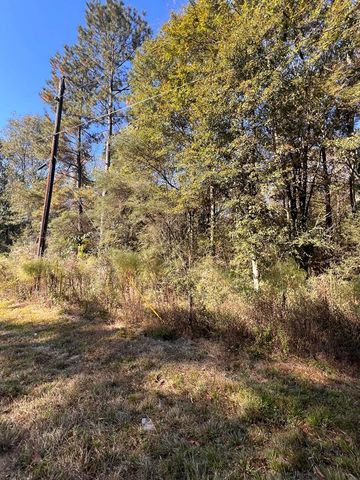 TBD Z C Rushing Road, Tylertown, MS 39667
