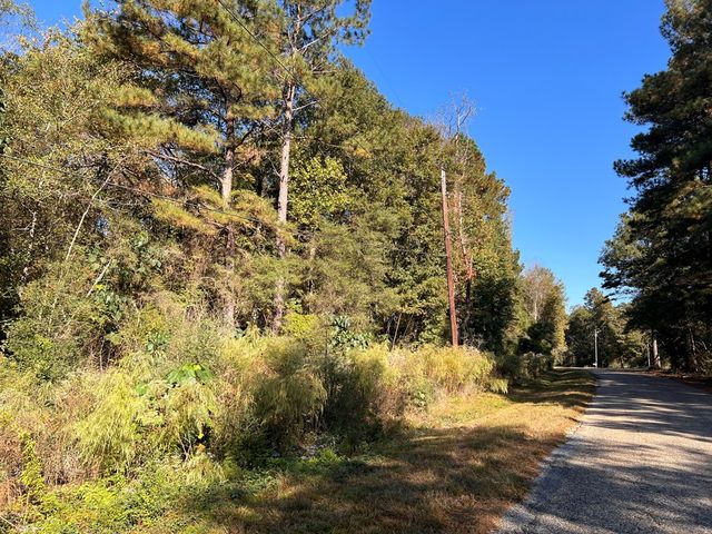 TBD Z C Rushing Road, Tylertown, MS 39667