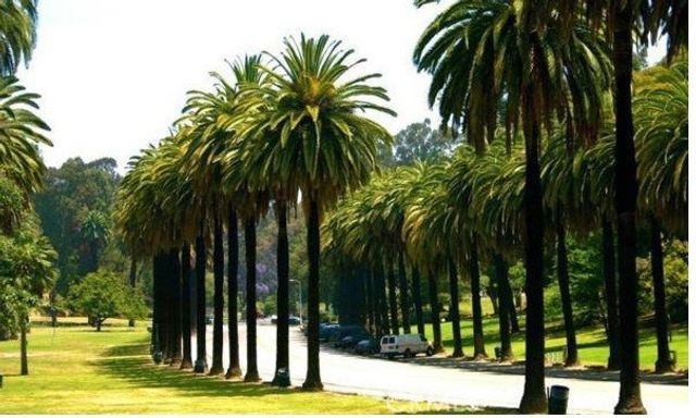 909 New Depot Street 15-16, Los Angeles, CA 90012