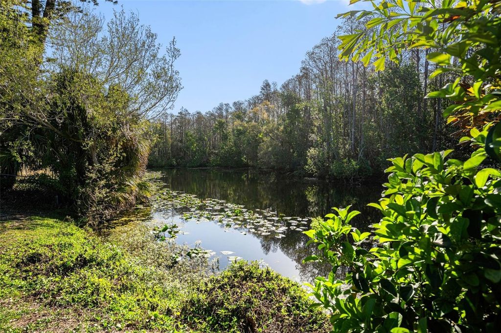 Image 13 of property listing at 3522 DELLEFIELD STREET, New Port Richey, FL 34655