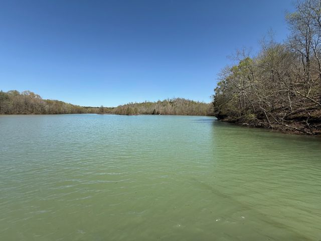 111 Portalatin Pointe, Stewart, TN 37175