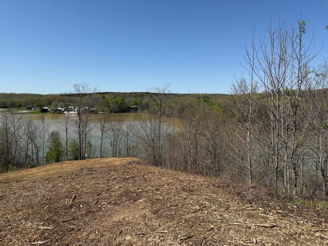 111 Portalatin Pointe, Stewart, TN 37175