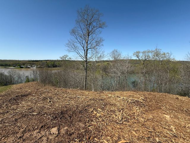 111 Portalatin Pointe, Stewart, TN 37175