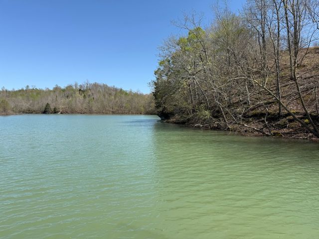 111 Portalatin Pointe, Stewart, TN 37175