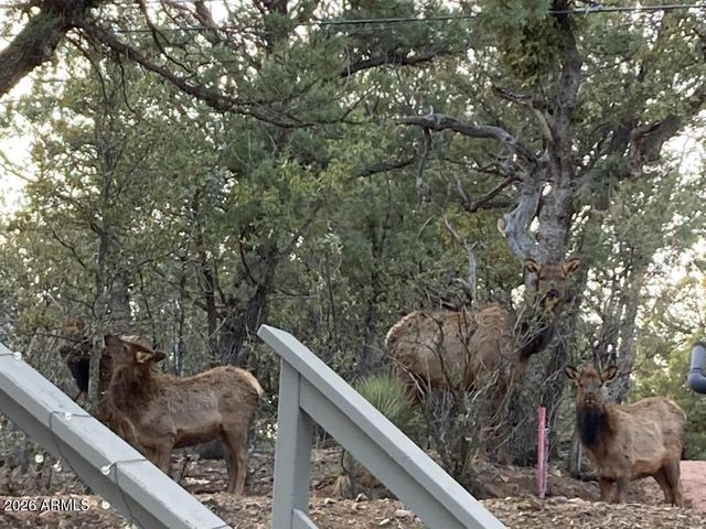 3483 N HILLSIDE Road, Pine, AZ 85544