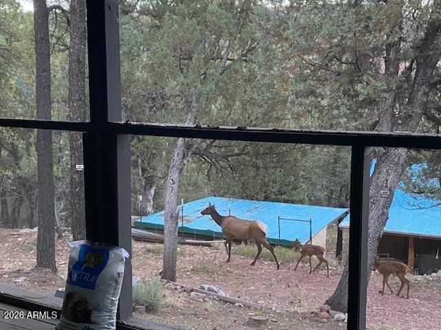 3483 N HILLSIDE Road, Pine, AZ 85544