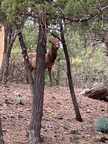 3483 N HILLSIDE Road, Pine, AZ 85544