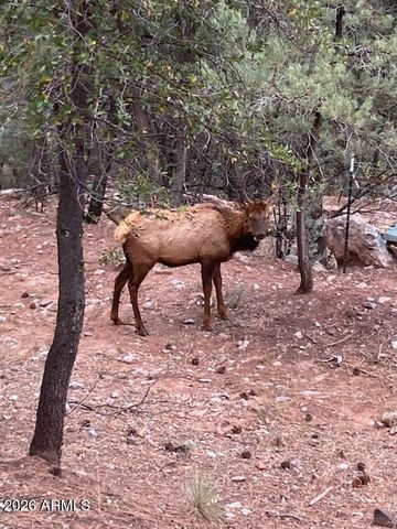 3483 N HILLSIDE Road, Pine, AZ 85544