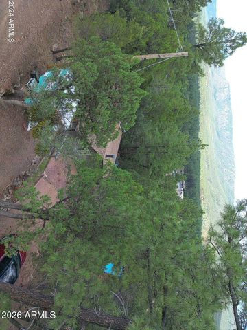 3483 N HILLSIDE Road, Pine, AZ 85544