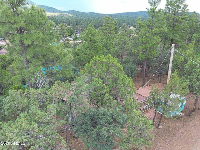 3483 N HILLSIDE Road, Pine, AZ 85544