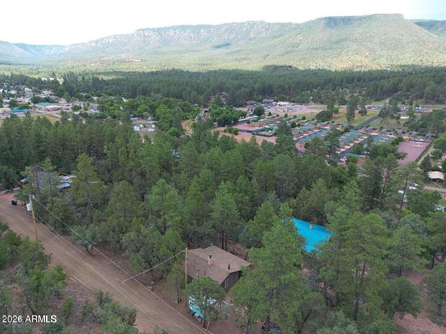 3483 N HILLSIDE Road, Pine, AZ 85544