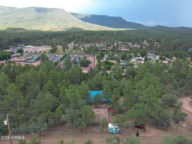 3483 N HILLSIDE Road, Pine, AZ 85544